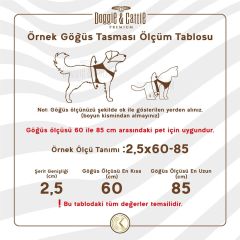 Cattie Özel Desenli Dokumadan El Yapımı Kedi Göğüs & Gezdirme Takımı