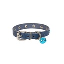 TKT08SROYALBLUE-picture2Path