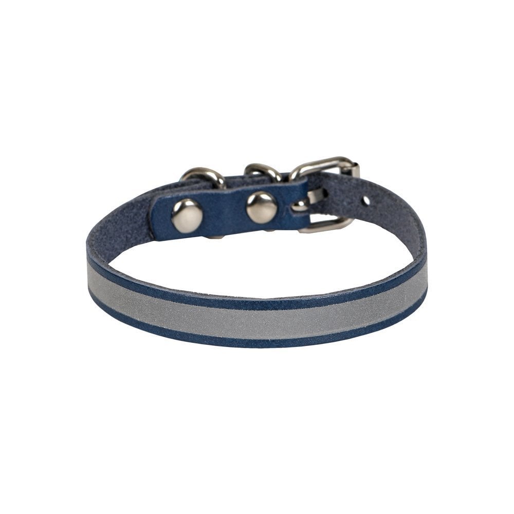 RKT08SROYALBLUE-picture2Path