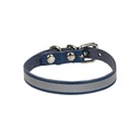 RKT08SROYALBLUE-picture2Path