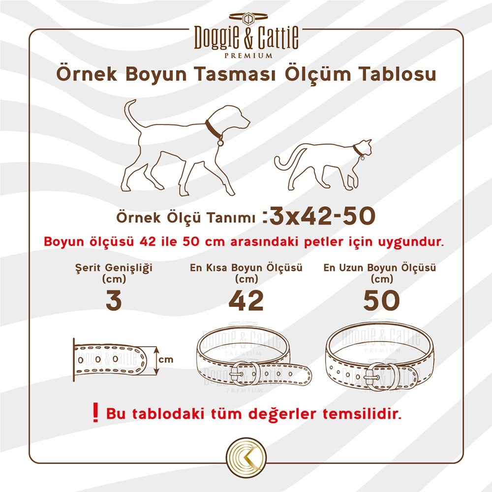 RKT10MRED-picture3Path