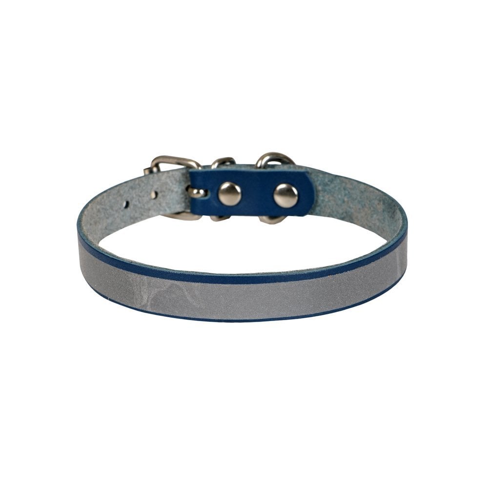 RKT10MROYALBLUE-picture2Path
