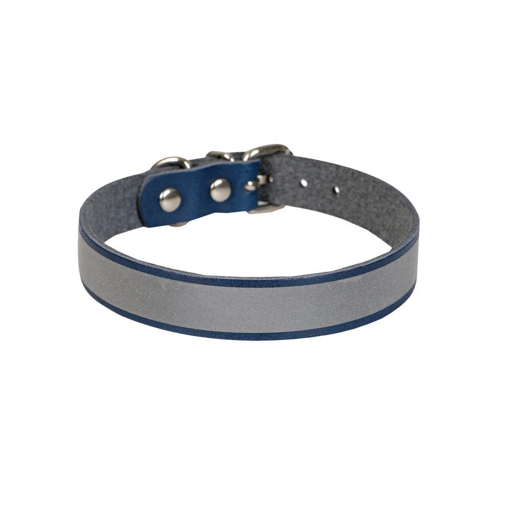 RKT12LROYALBLUE-picture2Path
