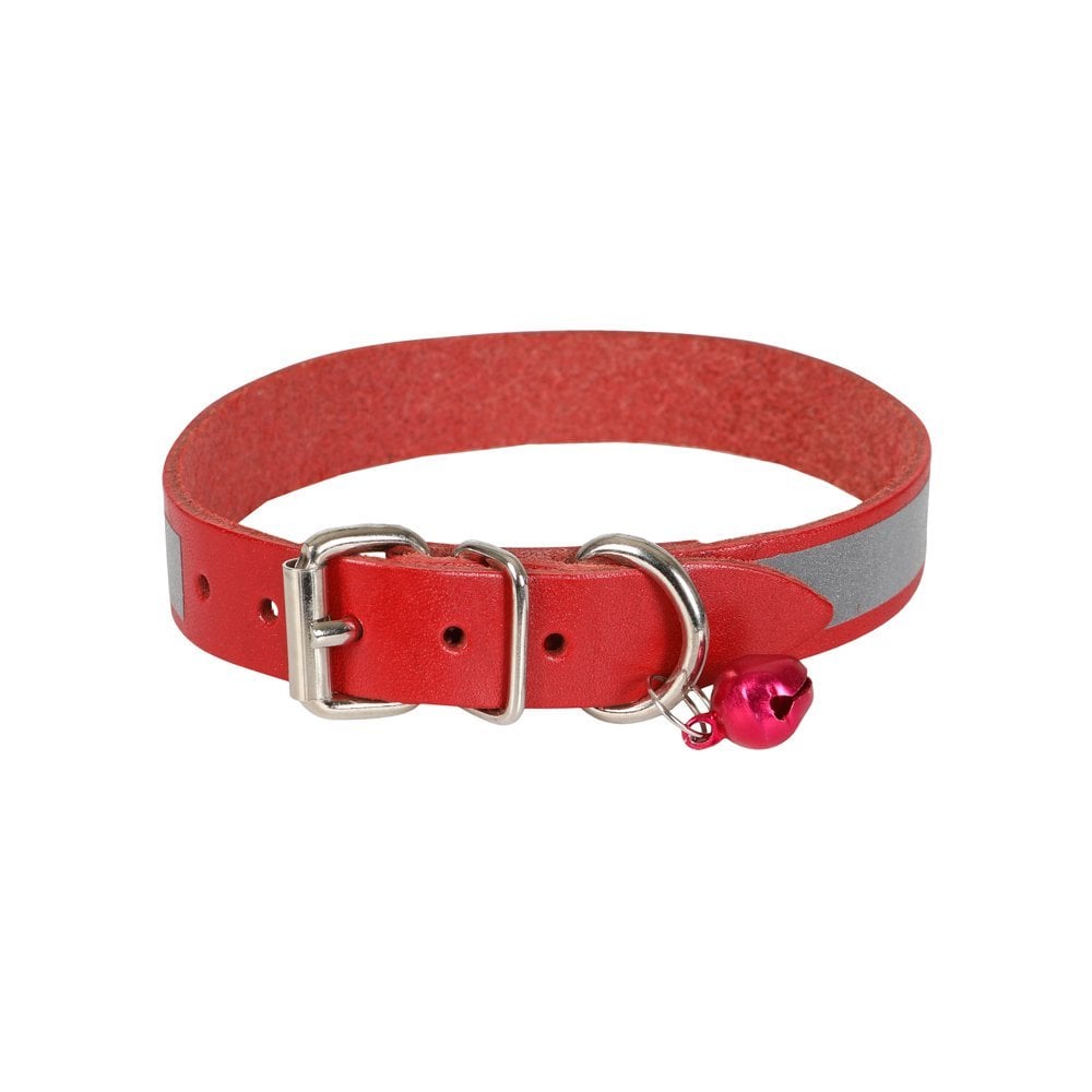 RKT15XLRED-picture2Path