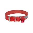 RKT15XLRED-picture2Path