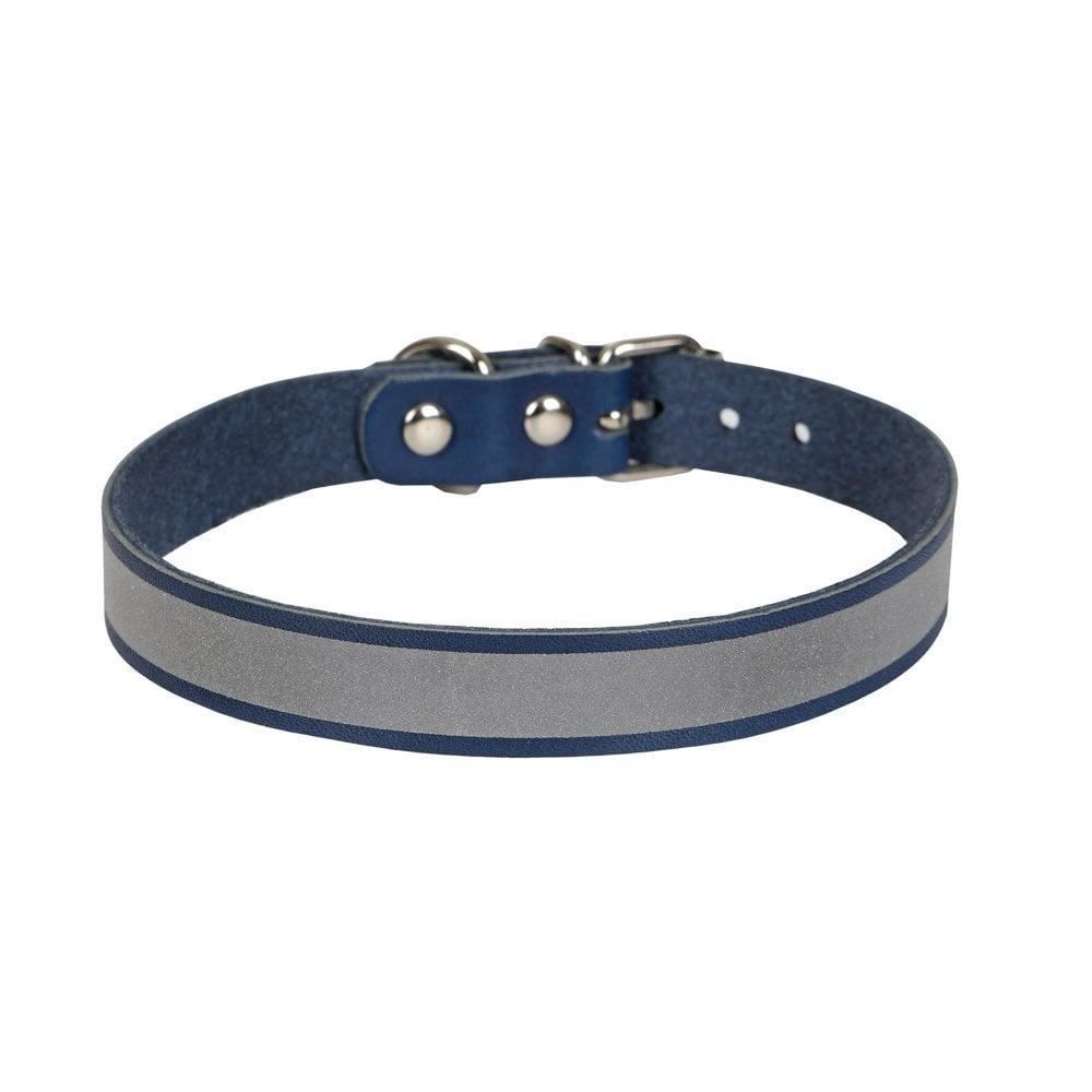 RKT15XLROYALBLUE-picture2Path