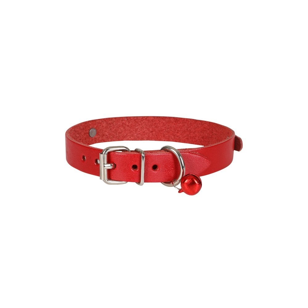 NKT15XLRED-picture2Path