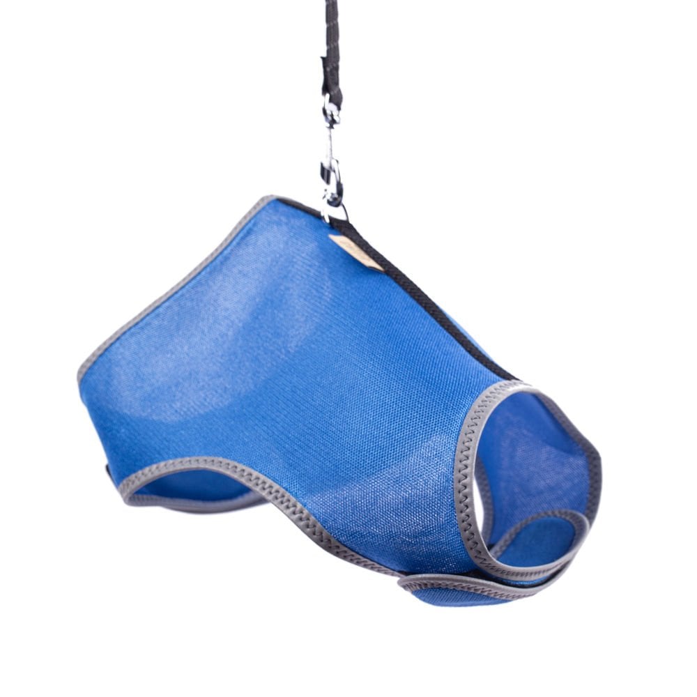 KCTLROYALBLUE-picture2Path