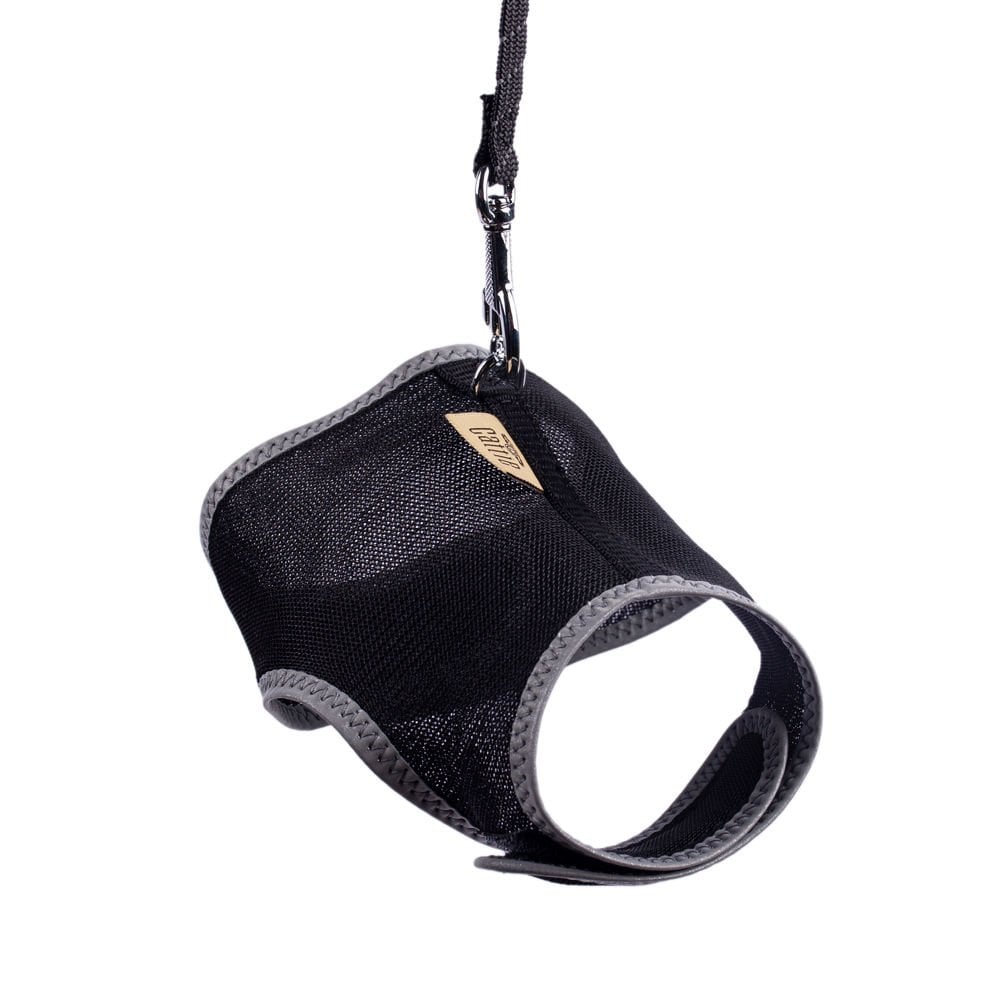 KCTSBLACK-picture2Path