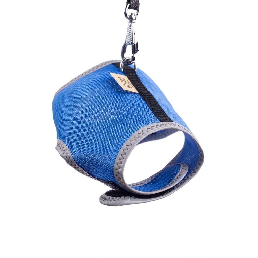 KCTSROYALBLUE-picture2Path