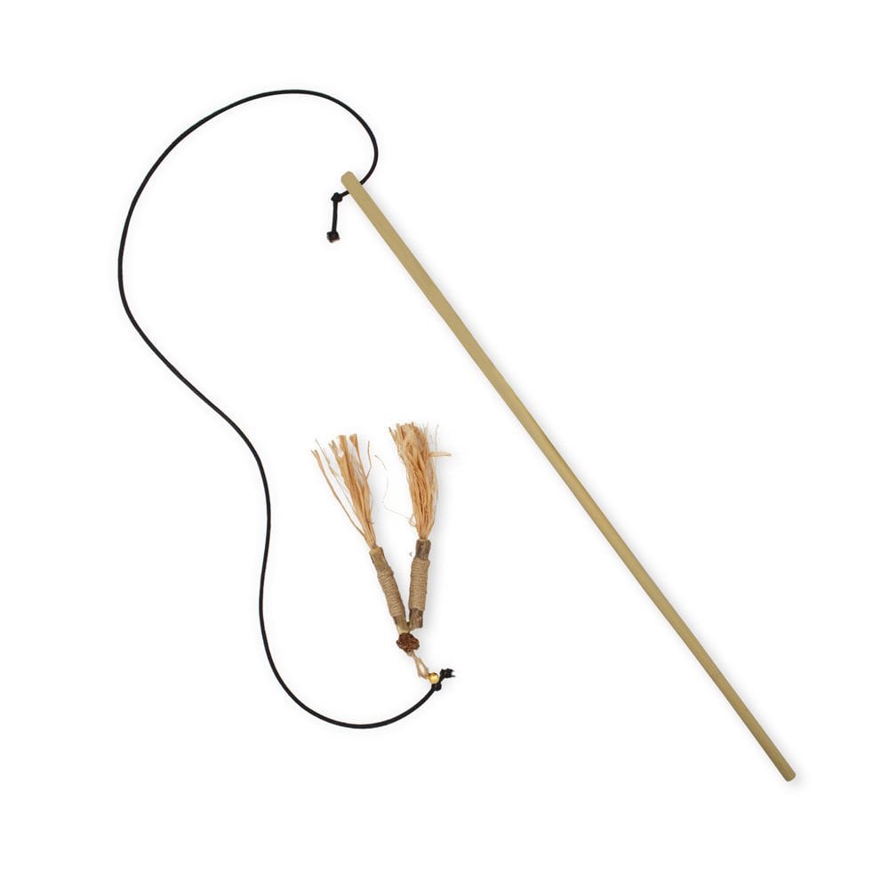 CTOY50OLTAZIL-picture2Path