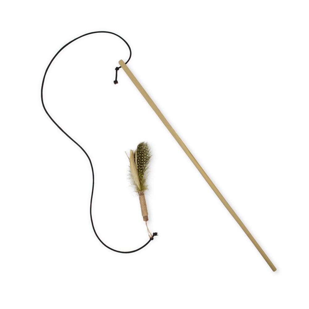 CTOY50OLTATUY-picture2Path