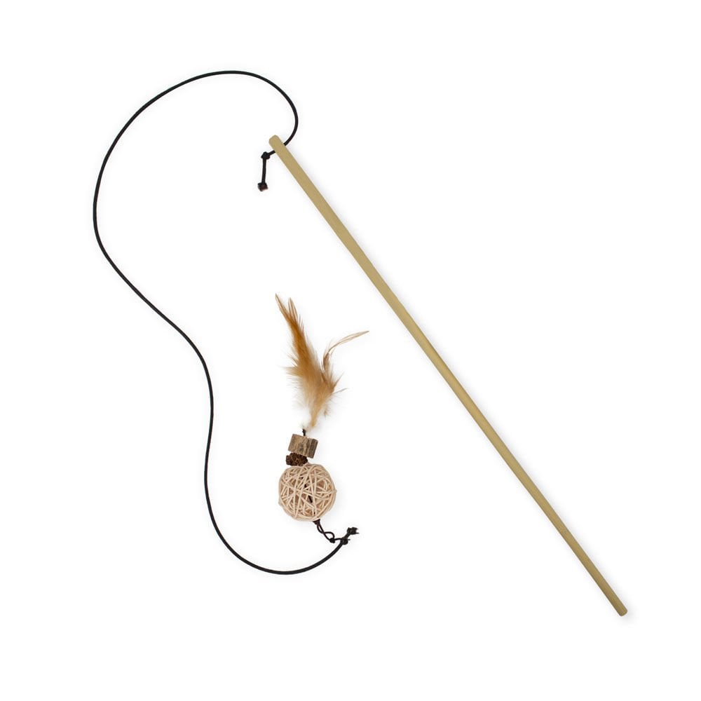 CTOY50OLTATOP-picture2Path