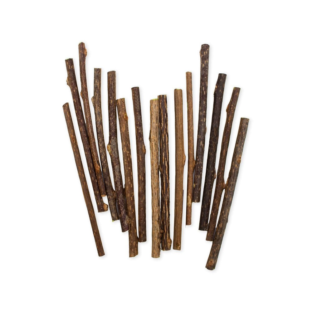 CTOYMATAS15-picture2Path