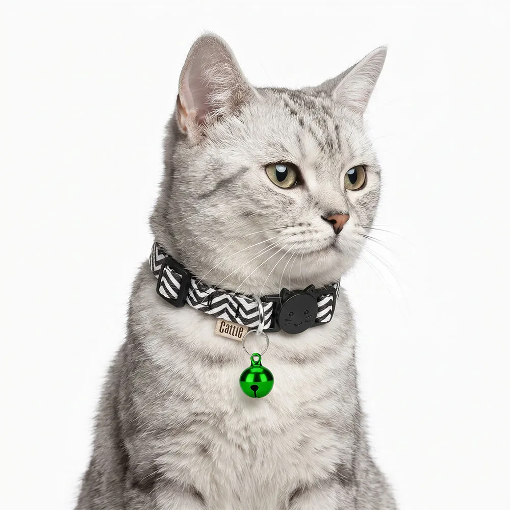 ZILPARGREEN(2).webp