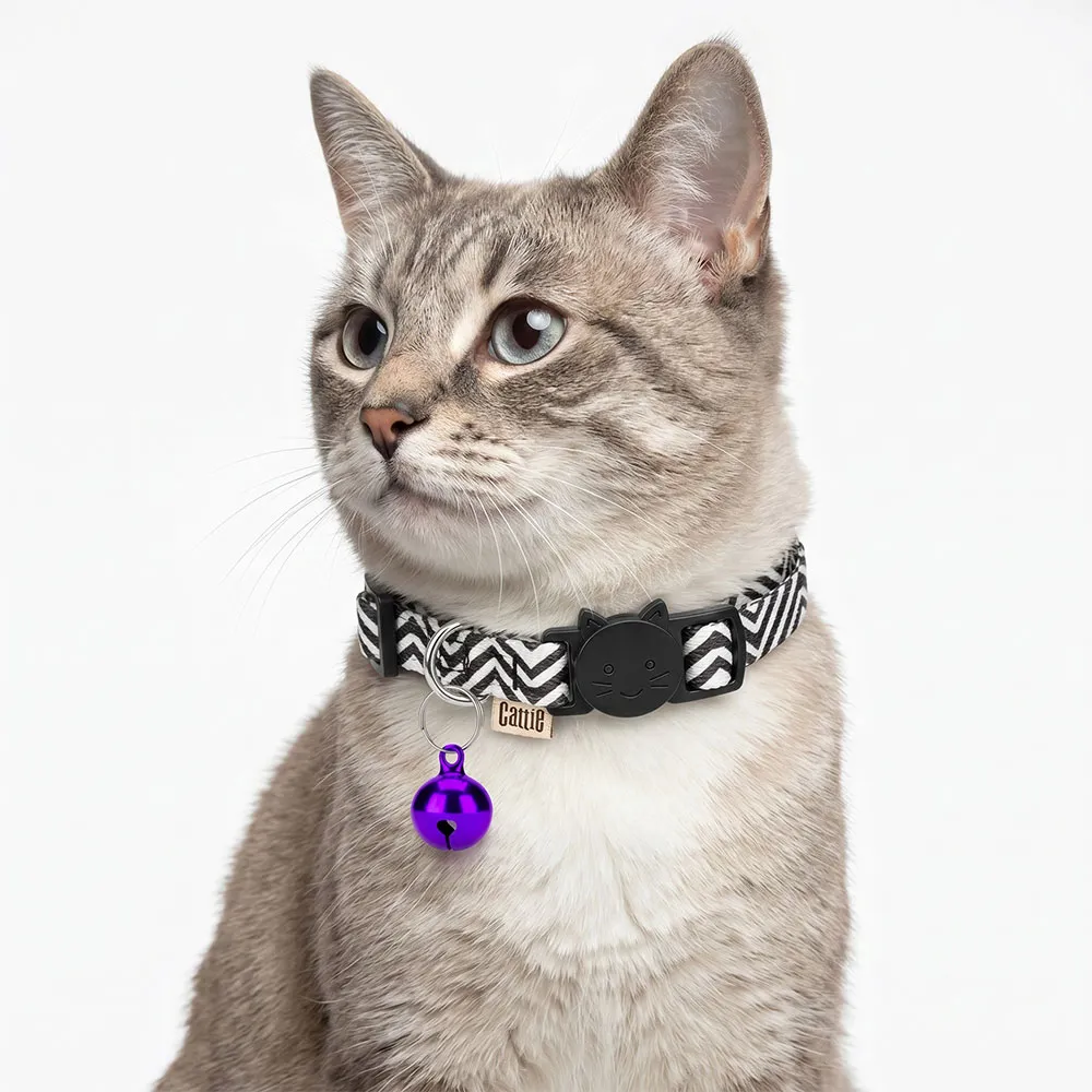 ZILPARPURPLE(2).webp