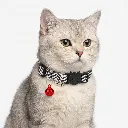 ZILPARRED(2).webp