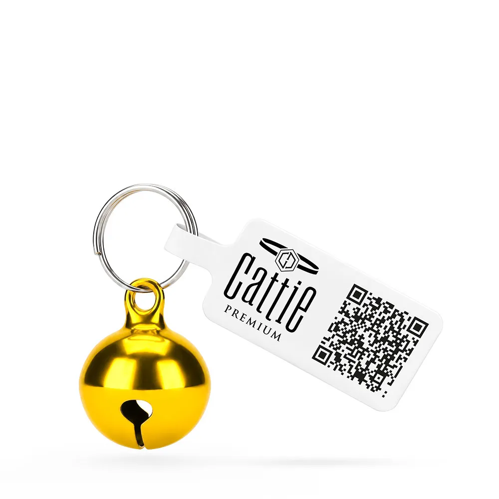 ZILPARYELLOW(3).webp