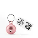 ZILGOLPINK(3).webp