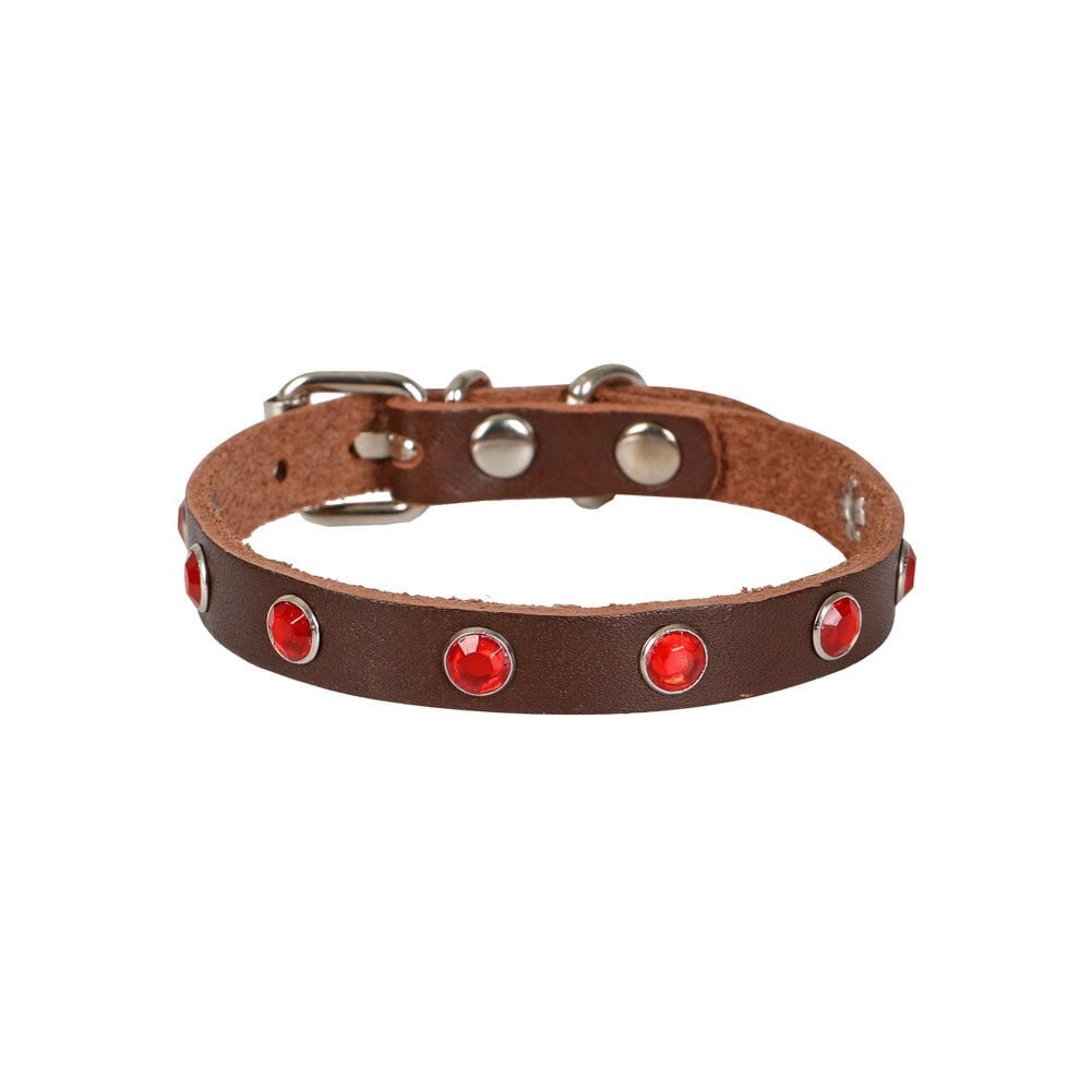 Cattie Taşlı Deri Kedi Tasması 1x21-25cm