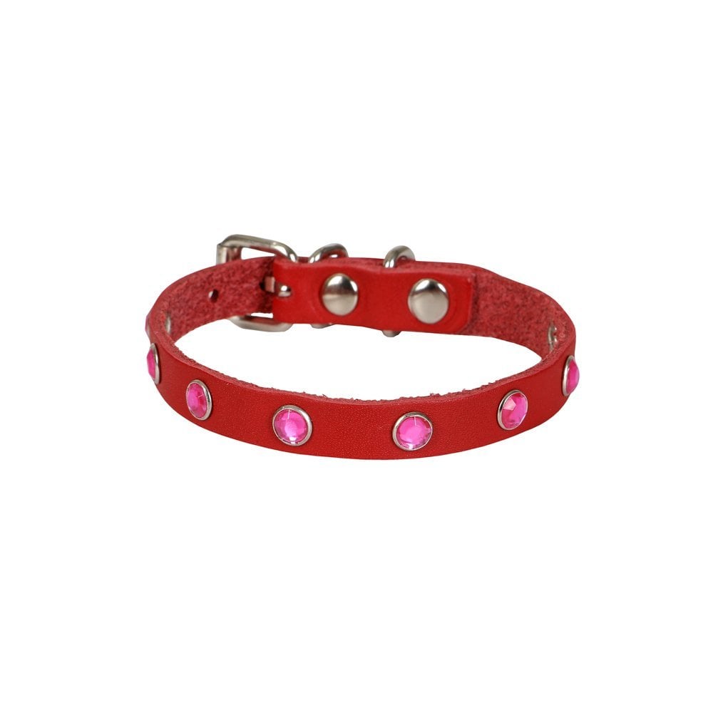 Cattie Taşlı Deri Kedi Tasması 1x21-25cm