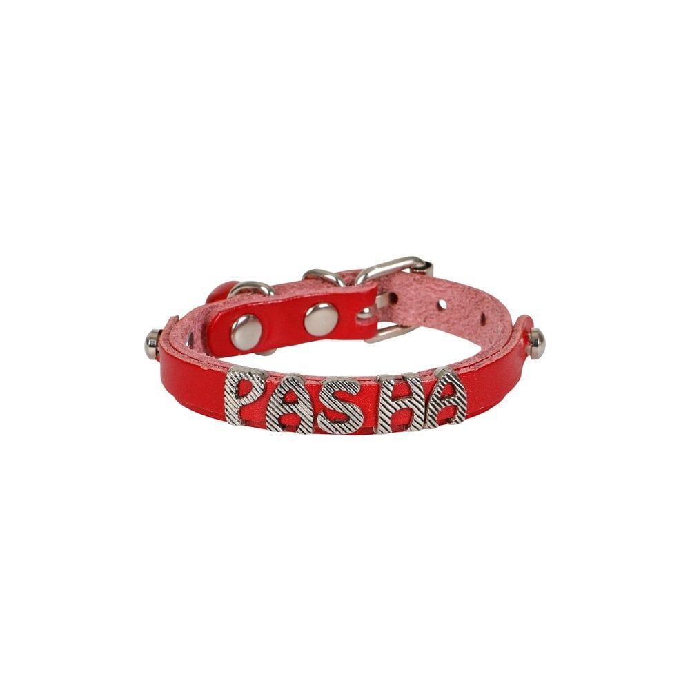 Cattie İsimlikli Deri Kedi Tasması 1x18-22cm
