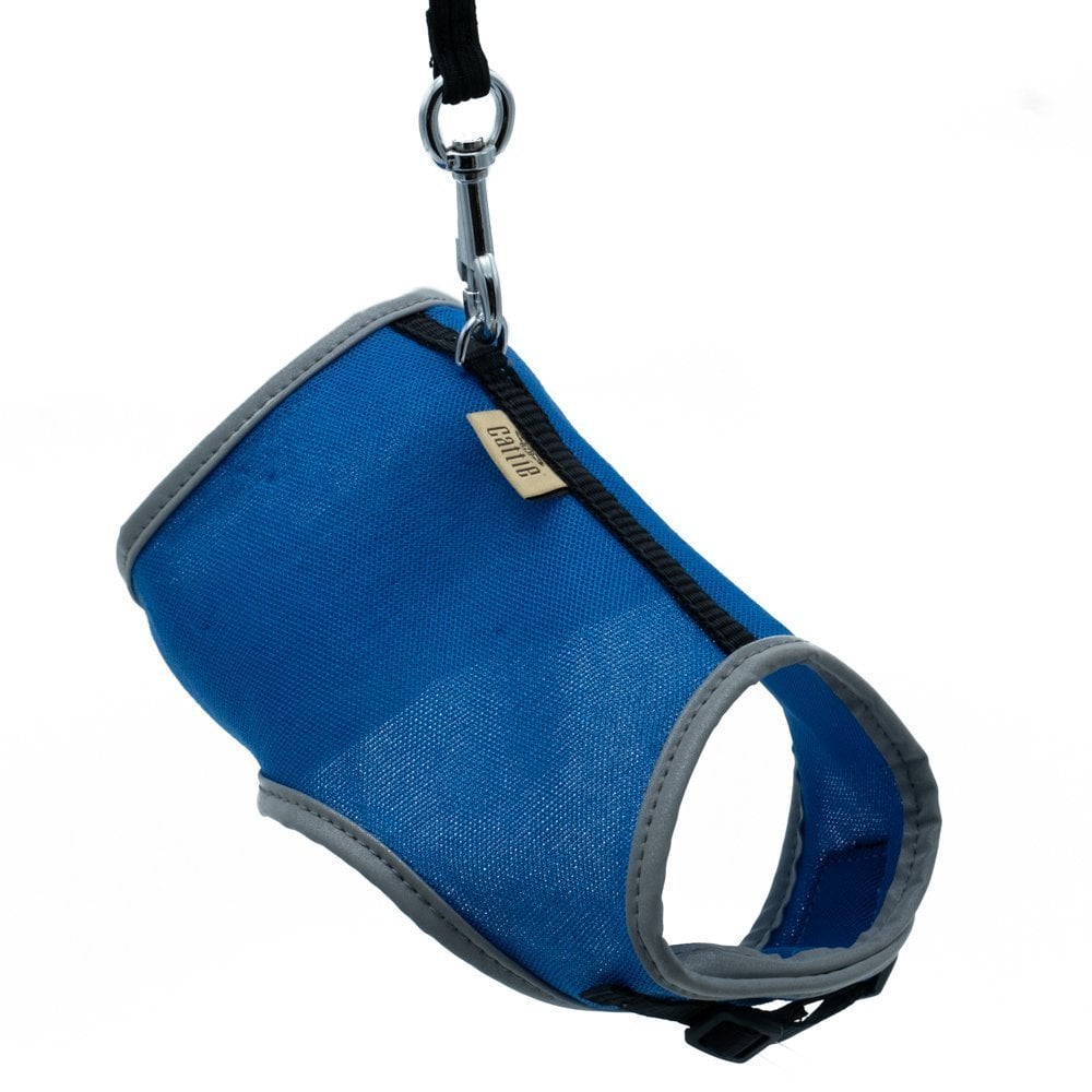 Cattie Lastikli Kedi Gezdirme Tasması 1x25-35cm